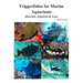 Triggerfishes for Marine Aquariums: Diversity, Selection & Care