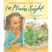 In Plain Sight