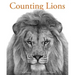 Counting Lions: Portraits from the Wild