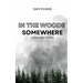 In the Woods Somewhere: A Stevie Diaz Mystery