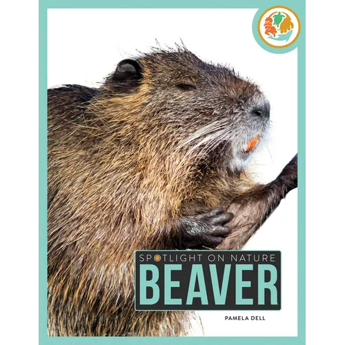 Beaver