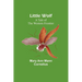 Little Wolf: A Tale of the Western Frontier