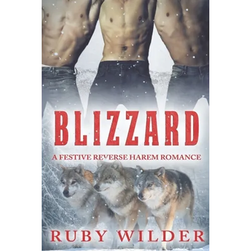 Blizzard: A Festive Reverse Harem Romance