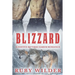 Blizzard: A Festive Reverse Harem Romance