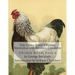 The China Fowl: Cochin, Shanghae and Brahma Chickens: Chicken Breeds Book 4