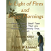 In Light of Fires and Foggy Mornings: Stories from a Small Town in the 1950s That Are Absolutely, Positively True. Sort of.