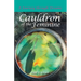 Cauldron of the Feminine: A Journey Through Dreams