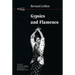 Gypsies and Flamenco: The Emergence of the Art of Flamenco in Andalusia, Interface Collection Volume 6