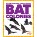 Bat Colonies