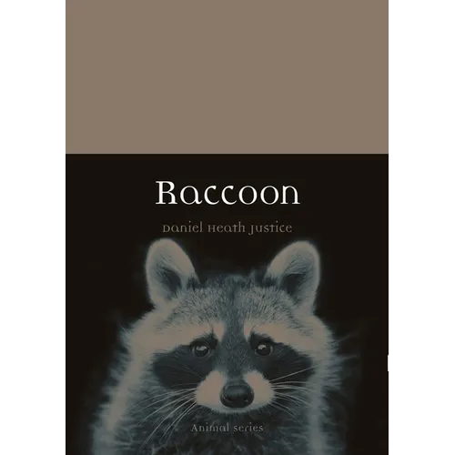 Raccoon