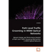 Path Level Traffic Grooming in WDM Optical Networks