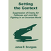 Setting the Context: Suppression of Enemy Air Defenses and Joint War Fighting in an Uncertain World