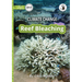 Climate Change: Reef Bleaching - Our Yarning