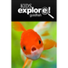 Gold fish - Kids Explore: Animal books nonfiction - books ages 5-6