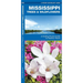 Mississippi Trees & Wildflowers: A Folding Pocket Guide to Familiar Plants