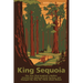 King Sequoia: The Tree That Inspired a Nation, Created Our National Park System, and Changed the Way We Think about Nature
