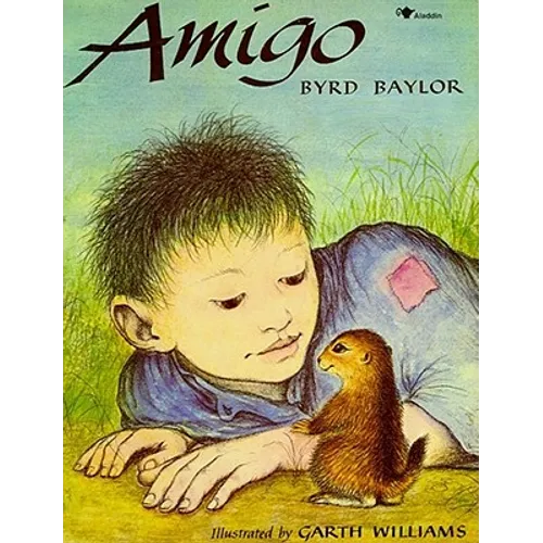 Amigo