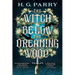 The Witch Below the Dreaming Wood