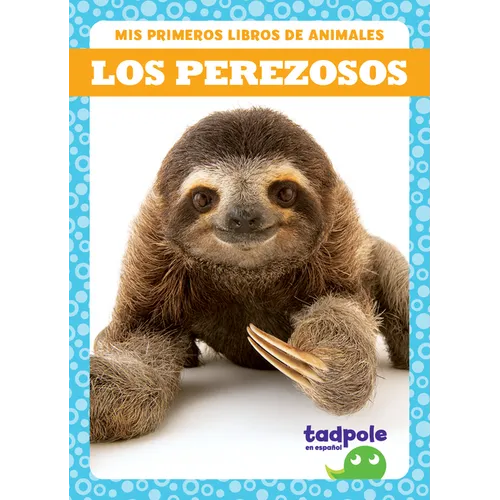 Los Perezosos (Sloths)
