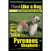 Pyrenees Shepherd, Pyrenean Shepherd Training AAA AKC Think Like a Dog, But Don't Eat Your Poop! Pyrenees Shepherd Breed Expert Training: Here's EXACT