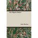 The Pilgrim Fathers