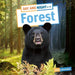Day and Night in the Forest