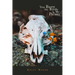 You Bury the Birds in My Pelvis