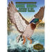 Duck Hunt: Capsized in the Boundary Waters: Capsized in the Boundary Waters