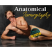 Anatomical Iconography
