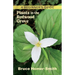 Plants in the Redwood Grove: A Beginner's Guide