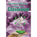 Memorial Stones From Life's Classroom: Still Learning and Growing