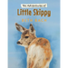 The Adventures of Little Skippy