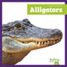 Alligators