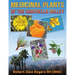 Medicinal Plants Of The Coachella Valley