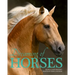 Dreaming of Horses