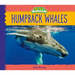 Humpback Whales