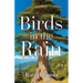 Birds in the Rain