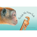 You Stole My Name Tools: The Curious Case of Animals and Tools with Shared Names (Picture Book)