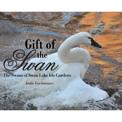 Gift of the Swan: The Swans of Swan Lake Iris Gardens