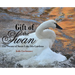 Gift of the Swan: The Swans of Swan Lake Iris Gardens