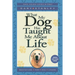 What My Dog Has Taught Me about Life