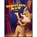 Bowies Bow Wow Band