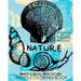 Nature Mindfulness Meditation Adult Coloring Book