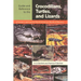 Guide and Reference to the Crocodilians, Turtles, and Lizards of Eastern and Central North America (North of Mexico)