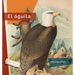 El Águila