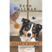 Ollie's Story: An Amish Healing Redux: A Short Story