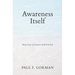 Awareness Itself: Being Aware of Awareness Itself Is the Key