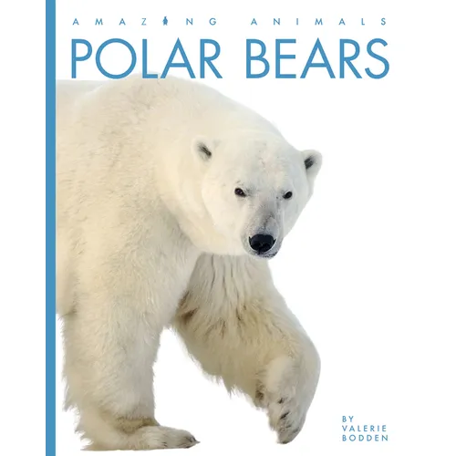 Polar Bears