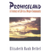 Promiseland: A Century of Life in a Negro Community