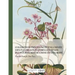 Collection Précieuse Et Enluminée Des Fleurs Les Plus Belles Et Plus Curieuses de Chine Et Europe